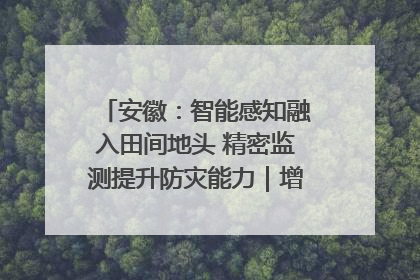 安徽：智能感知融入田间地头 精密监测提升防灾能力｜增发国债气象项目落地见效系列报道