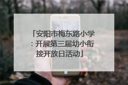 安阳市梅东路小学：开展第三届幼小衔接开放日活动