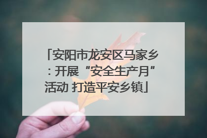 安阳市龙安区马家乡：开展“安全生产月”活动 打造平安乡镇