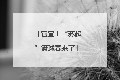 官宣！“苏超”篮球赛来了
