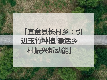 宜章县长村乡：引进玉竹种植 激活乡村振兴新动能