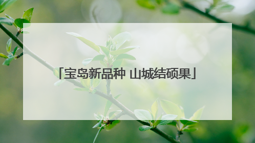 宝岛新品种 山城结硕果