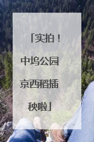 实拍！中坞公园京西稻插秧啦