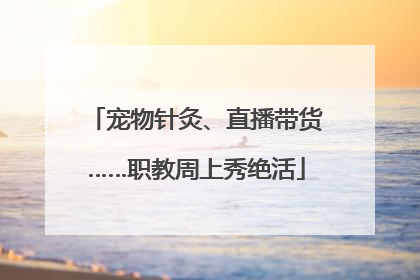 宠物针灸、直播带货……职教周上秀绝活