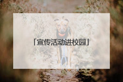 宣传活动进校园
