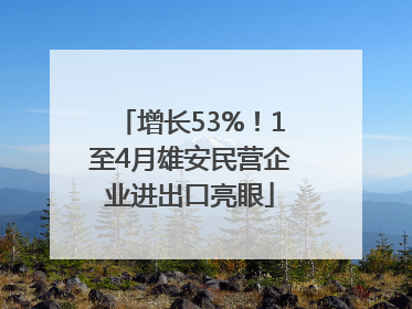 增长53%！1至4月雄安民营企业进出口亮眼