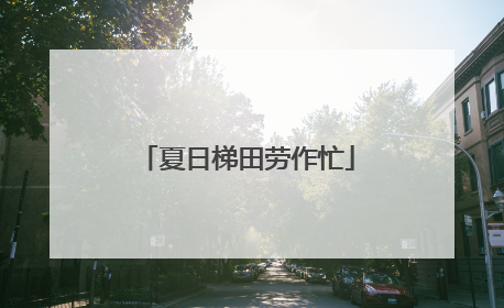 夏日梯田劳作忙