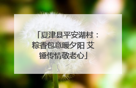 夏津县平安湖村：粽香包意暖夕阳 艾锤传情敬老心
