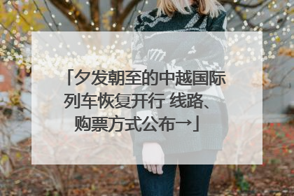 夕发朝至的中越国际列车恢复开行 线路、购票方式公布→