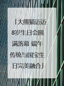 大熊猫迈迈8岁生日会圆满落幕 端午传统与国宝生日完美融合