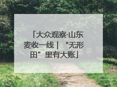 大众观察·山东麦收一线｜“无形田”里有大账