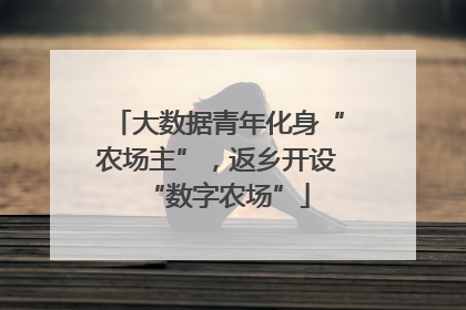 大数据青年化身“农场主”，返乡开设“数字农场”
