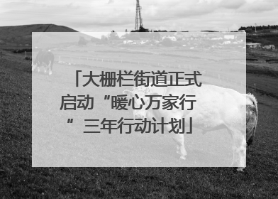 大栅栏街道正式启动“暖心万家行”三年行动计划
