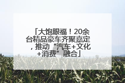 大饱眼福！20余台精品豪车齐聚嘉定，推动“汽车+文化+消费”融合