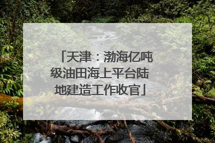 天津：渤海亿吨级油田海上平台陆地建造工作收官