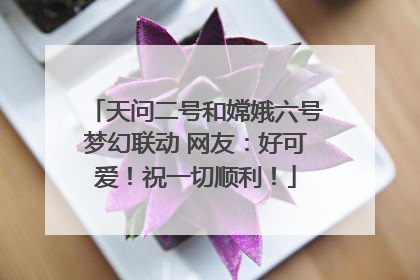 天问二号和嫦娥六号梦幻联动 网友：好可爱！祝一切顺利！