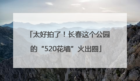 太好拍了！长春这个公园的“520花墙”火出圈