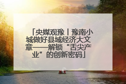 央媒观豫丨豫南小城做好县域经济大文章——解锁“舌尖产业”的创新密码