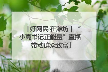 好网民·在潍坊｜“小高书记正能量”直播 带动群众致富