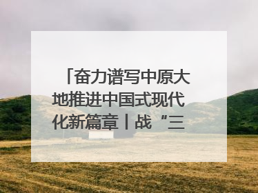 奋力谱写中原大地推进中国式现代化新篇章丨战“三夏” 夺丰收