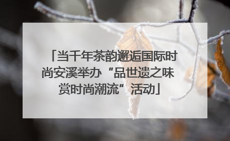 当千年茶韵邂逅国际时尚安溪举办“品世遗之味 赏时尚潮流”活动