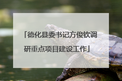 德化县委书记方俊钦调研重点项目建设工作