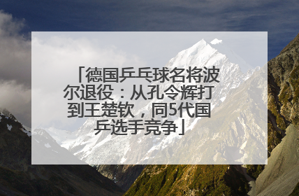 德国乒乓球名将波尔退役：从孔令辉打到王楚钦，同5代国乒选手竞争