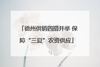 德州供销四措并举 保障“三夏”农资供应