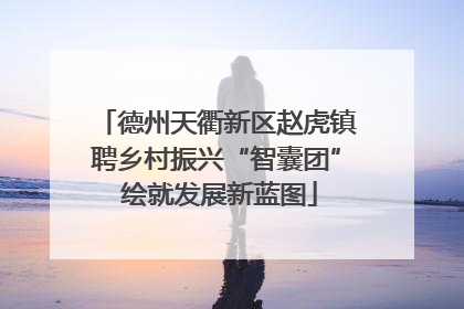 德州天衢新区赵虎镇聘乡村振兴“智囊团” 绘就发展新蓝图