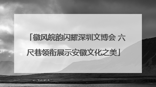徽风皖韵闪耀深圳文博会 六尺巷领衔展示安徽文化之美