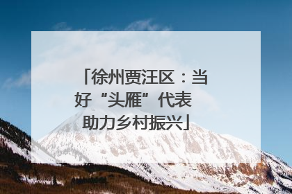 徐州贾汪区：当好“头雁”代表 助力乡村振兴