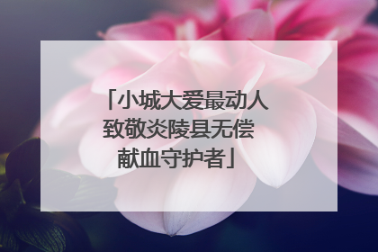 小城大爱最动人 致敬炎陵县无偿献血守护者