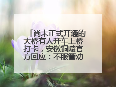 尚未正式开通的大桥有人开车上桥打卡，安徽铜陵官方回应：不服管劝擅自进入，已采取措施