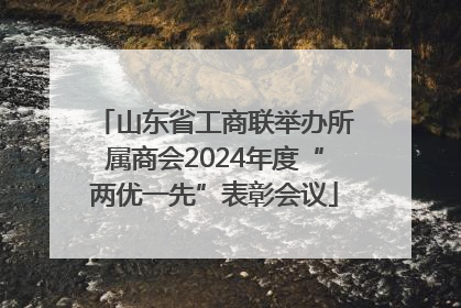 山东省工商联举办所属商会2024年度“两优一先”表彰会议