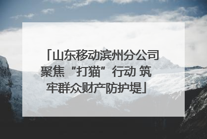 山东移动滨州分公司聚焦“打猫”行动 筑牢群众财产防护堤