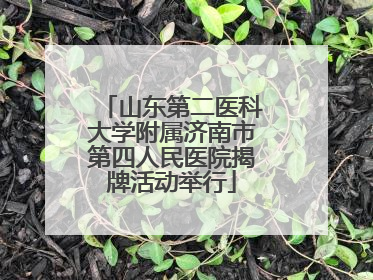 山东第二医科大学附属济南市第四人民医院揭牌活动举行