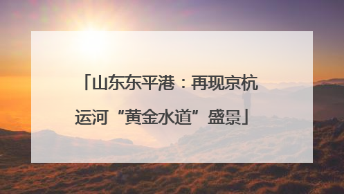 山东东平港：再现京杭运河“黄金水道”盛景