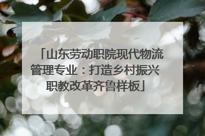 山东劳动职院现代物流管理专业：打造乡村振兴职教改革齐鲁样板