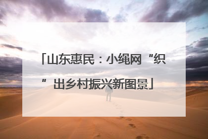山东惠民：小绳网“织”出乡村振兴新图景