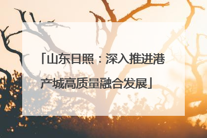 山东日照：深入推进港产城高质量融合发展