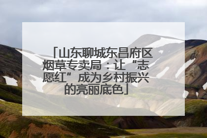山东聊城东昌府区烟草专卖局：让“志愿红”成为乡村振兴的亮丽底色
