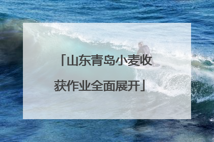 山东青岛小麦收获作业全面展开