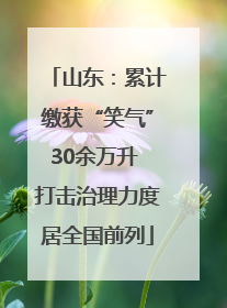 山东：累计缴获“笑气”30余万升 打击治理力度居全国前列