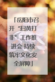 岳阳市召开“扫黄打非”工作推进会 持续筑牢文化安全屏障