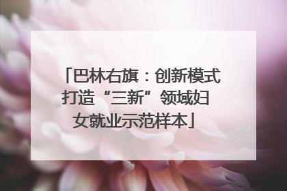 巴林右旗：创新模式 打造“三新”领域妇女就业示范样本