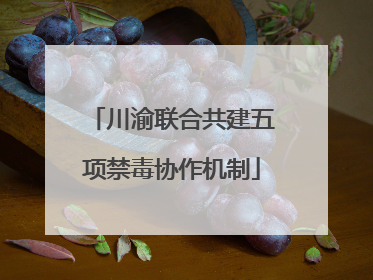 川渝联合共建五项禁毒协作机制