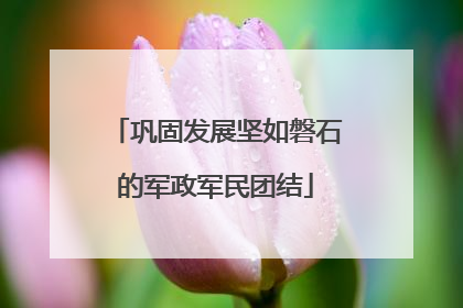巩固发展坚如磐石的军政军民团结