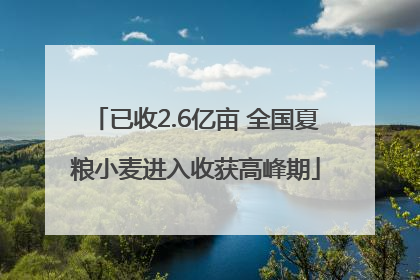 已收2.6亿亩 全国夏粮小麦进入收获高峰期