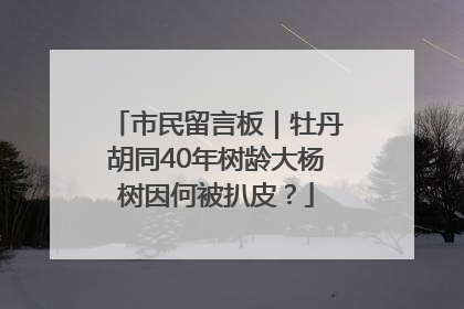 市民留言板｜牡丹胡同40年树龄大杨树因何被扒皮？