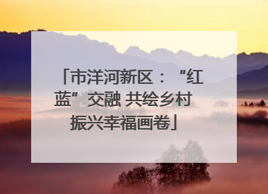 市洋河新区：“红蓝”交融 共绘乡村振兴幸福画卷